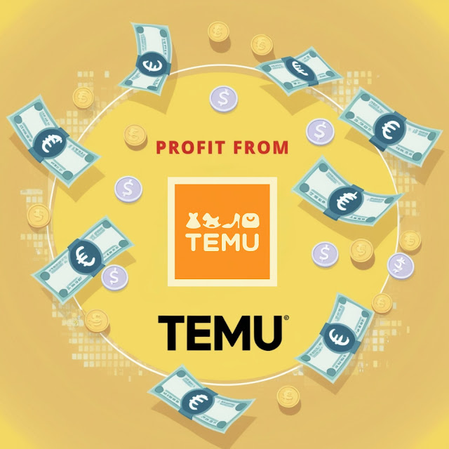 How to Make Money from Temu